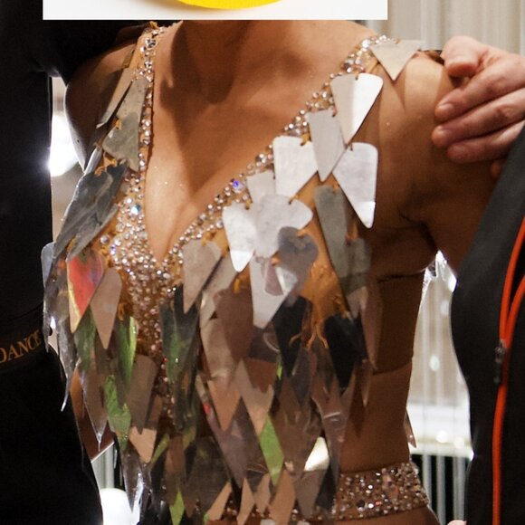 VESA SILVER FRINGE LATIN RHYTHM BALLROOM DRESS - Picture 7 of 13